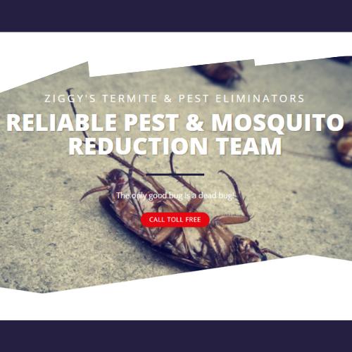 Ziggy's Termite & Pest Eliminators
