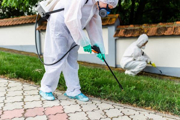 Ziggy's Termite & Pest Eliminators