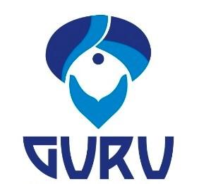 Guru Solutions LLC