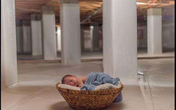 Healthy ~ Crawlspace