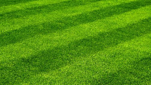 Lakeside Lawncare
