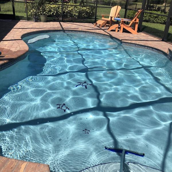 True Blue Pools & Spa Maintenance