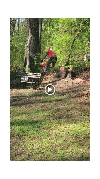Quint's Tree Service