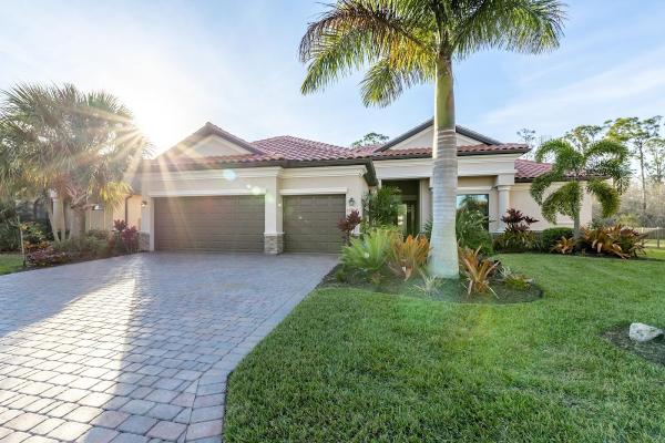Home Focus