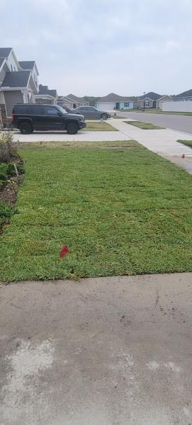 Yosemite Irrigation and Landscaping