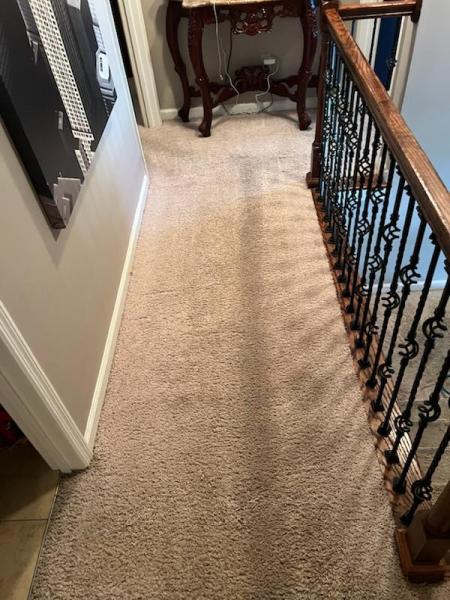 Action Carpet Cleaning