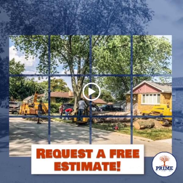 Prime Tree Care