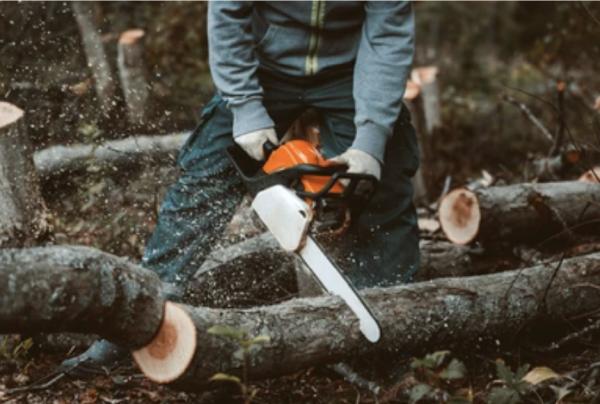 Kleber C Tree Service & Excavation
