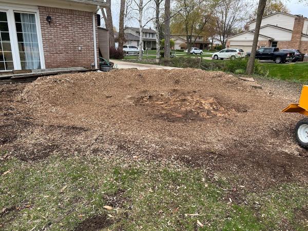 Stumpwerx Tree Service