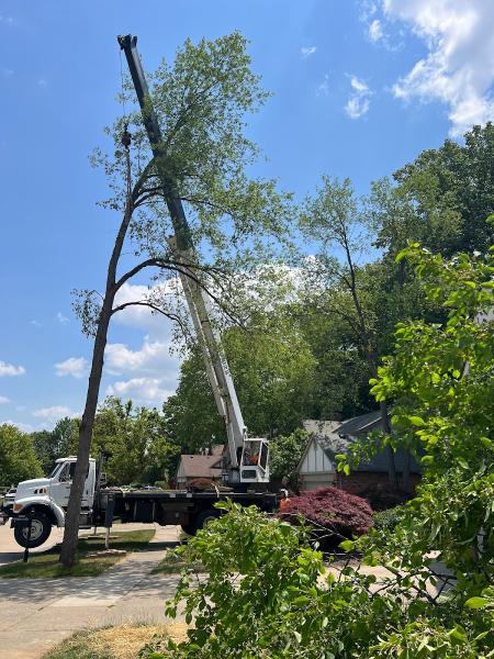 Stumpwerx Tree Service