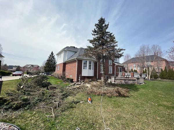 Stumpwerx Tree Service
