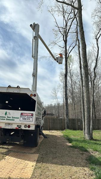 KS Tree Specialist LLC