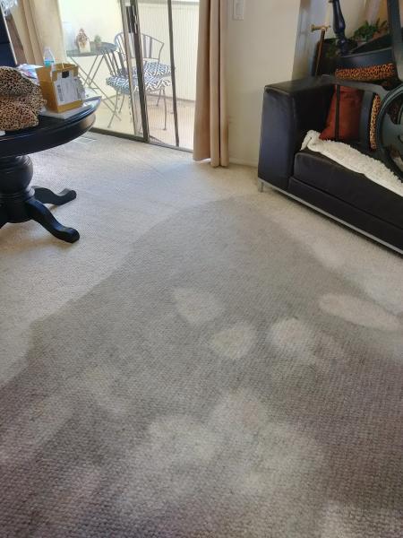 Billy's Carpet Care