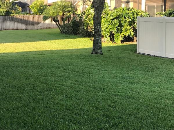Do It Yourself Lawn and Pest & Oviedo Plants