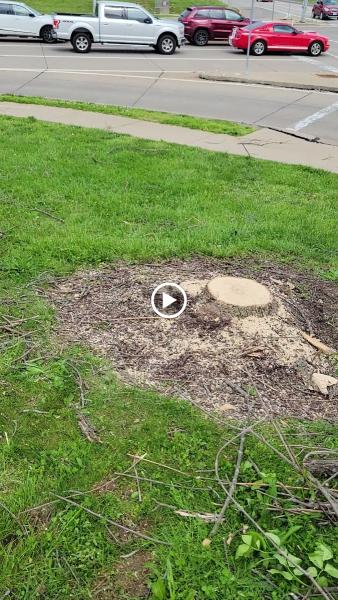 L & P Landscaping