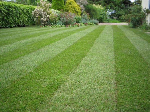 JB Irrigation & Services