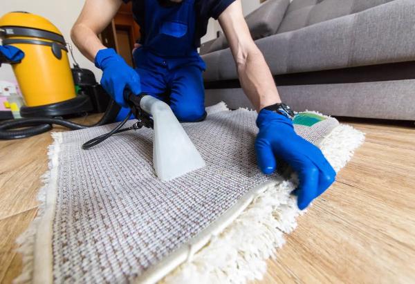 Green Power Carpet Care