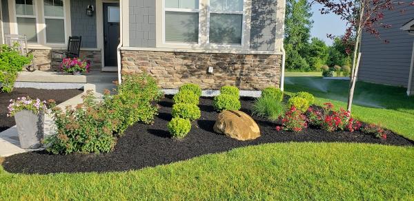 Quality Yard and Home Maintenance