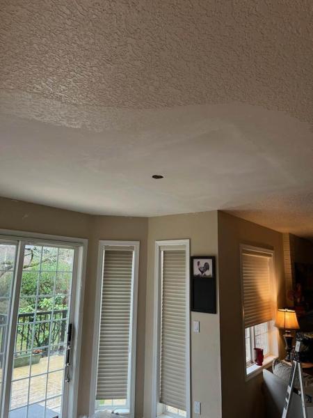 Pacific Drywall Services Inc.