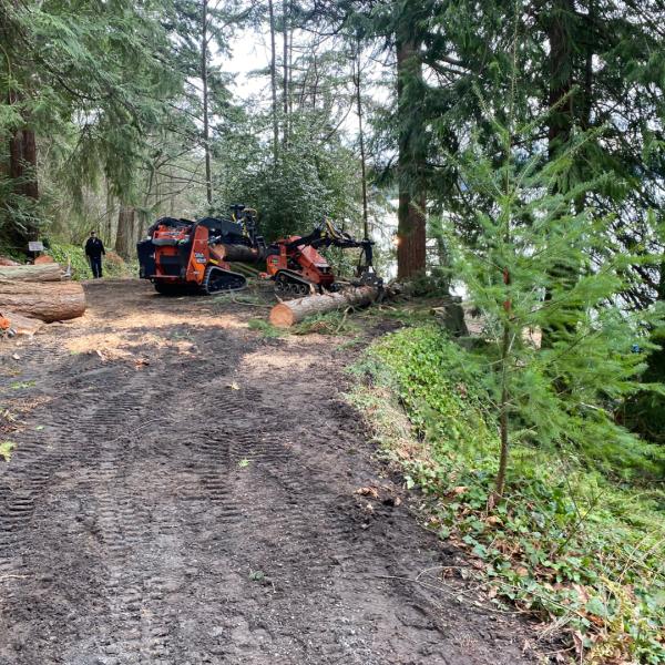 Earthworks Tree Service