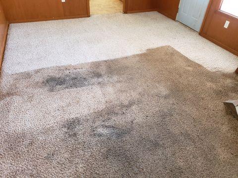 East Orange Carpet Cleaning