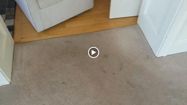 Ultra Steam Carpet & Upholstery Cleaning