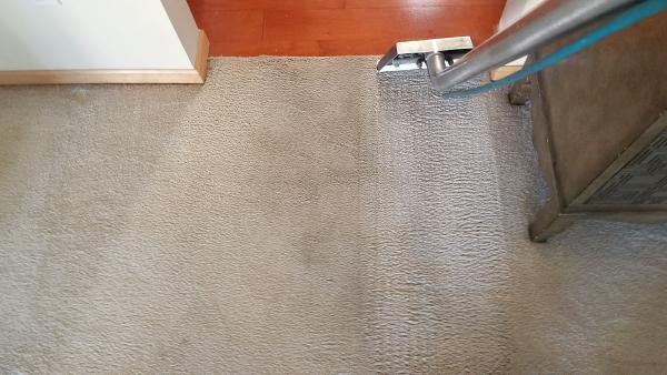 Ultra Steam Carpet & Upholstery Cleaning