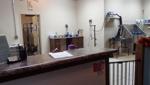 Von Aries Kennels Boarding