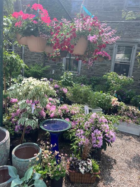 Laurel Hill Gardens