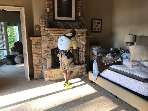 Citrusolution Carpet Cleaning