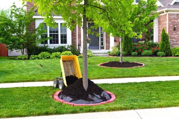 Finishing Touches Landscaping & Maintenance