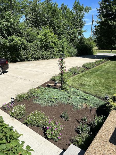 Ols Landscape & Yard Maintenance