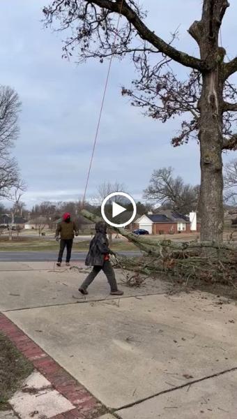 NWA Brothers Tree Service
