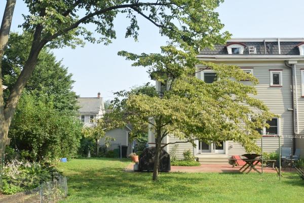Haddon Tree Co