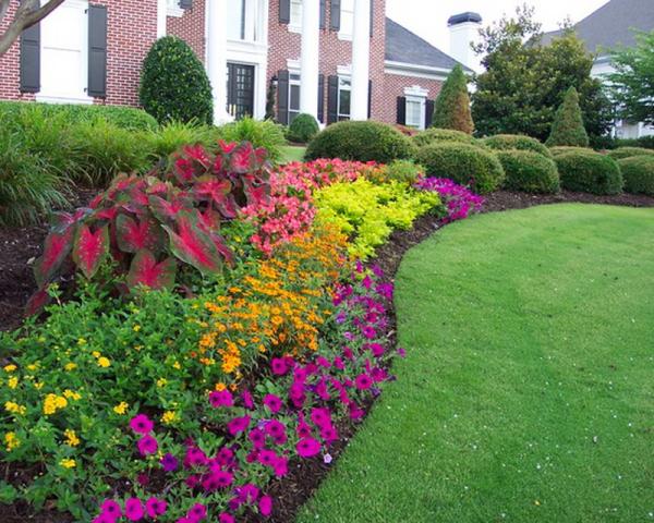 Advantage Property Management Inc.