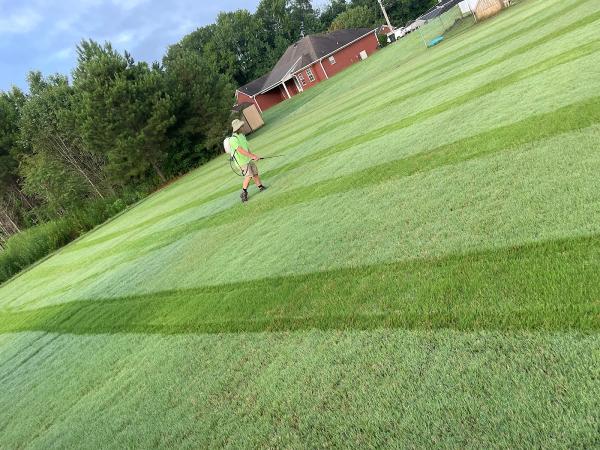 Pure Green