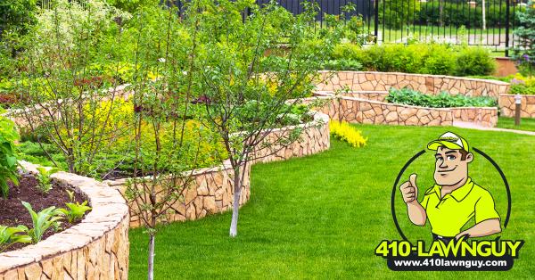 410lawnguy