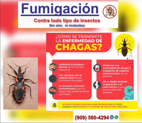 Fumigaciones Carpio