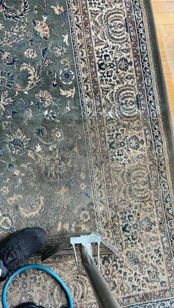 Elite Carpet Cleaning Pros