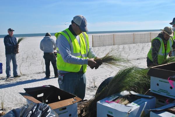 Ecological Asset Management