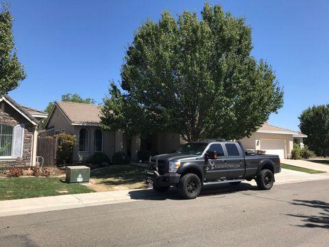 Elk Grove Tree Service