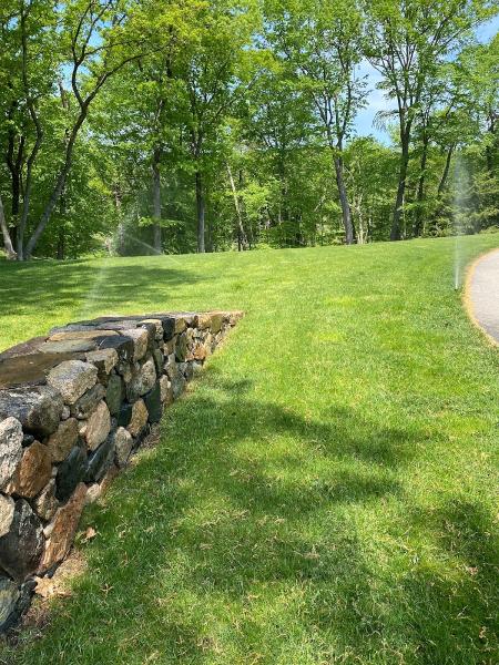 Lucas Irrigation Co