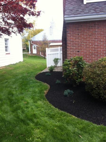 Lawn Ranger Lawn Care Service