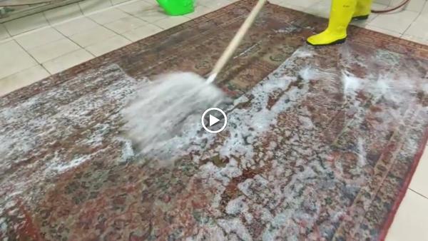 Elite Carpet Cleaning Pros