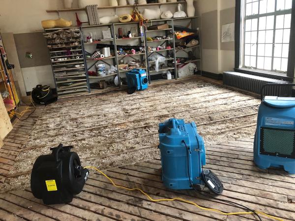 Indoor Mold Specialist
