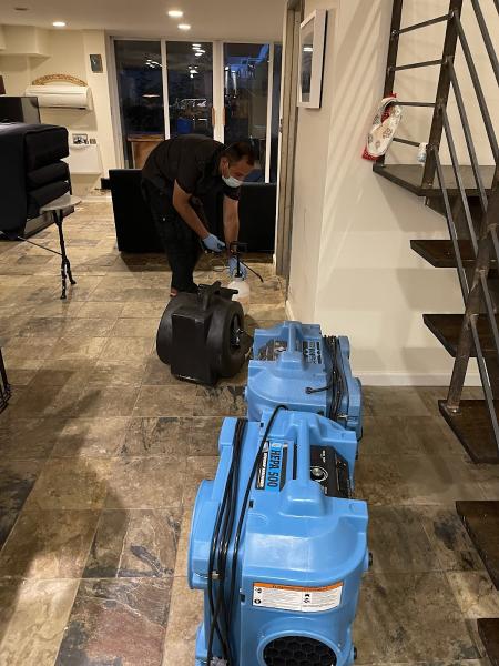 Indoor Mold Specialist