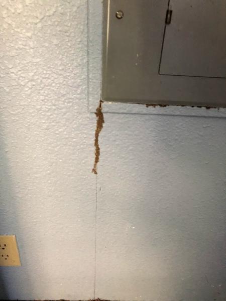 Bugwater Pest Control Inc.