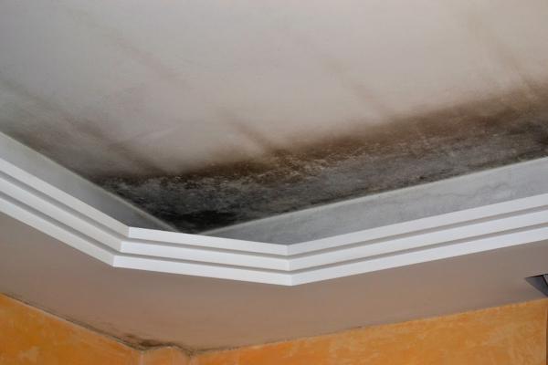 All Fort Lauderdale Water Damage Restoration