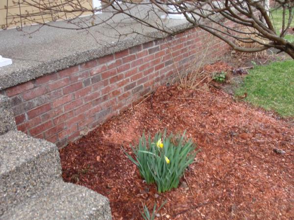 Arvin Masonry