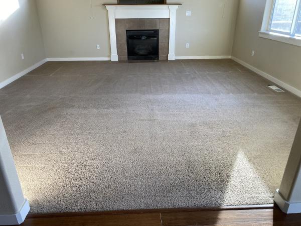 Husky Carpet & Upholstery